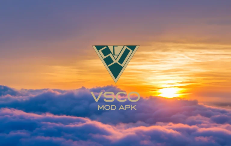 Download VSCO Cam Mod APK For Free?