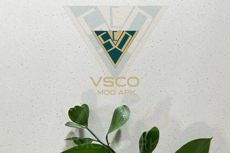VSCO Mod APK Latest Version 2024- Older vs New Version